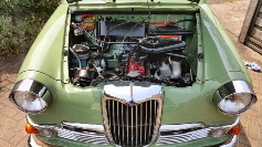 Riley Steam Clean Show & Go